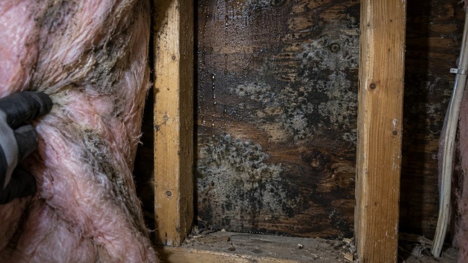 Condensation and staining on the back of exterior sheathing inside a wall cavity